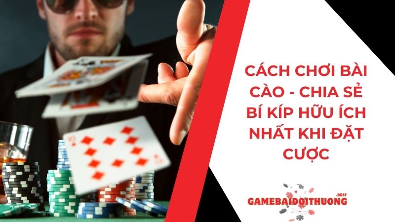Cách chơi bài Cào - Chia sẻ bí kíp hữu ích nhất khi đặt cược