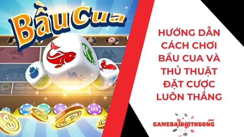 Hướng dẫn cách chơi Bầu Cua và thủ thuật đặt cược luôn thắng