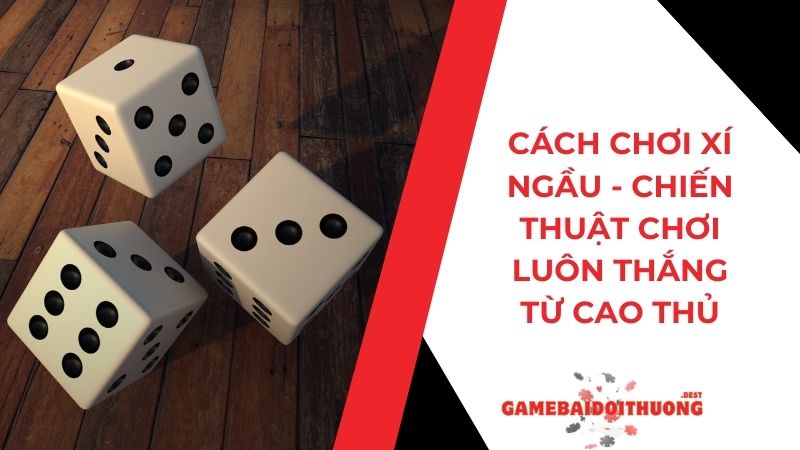 Cách chơi Xí Ngầu - Chiến thuật chơi luôn thắng từ cao thủ 9 Cách chơi Xí Ngầu - Chiến thuật chơi luôn thắng từ cao thủ